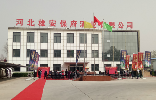 打造雄安新區文化名片 這就酒企緣何底氣十足？